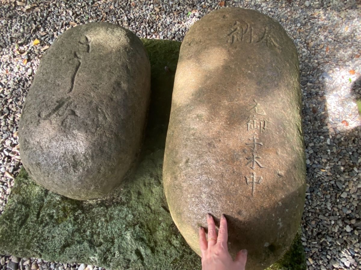 尾山神社

庭園も落ち着いていて良い感じ☺️
もう少ししたら紅葉でより美し...