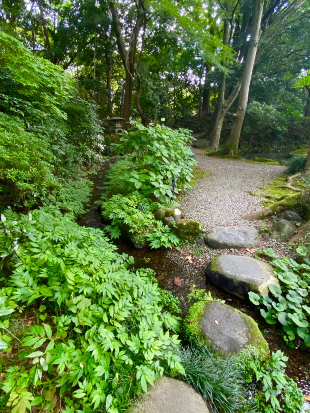 尾山神社

庭園も落ち着いていて良い感じ☺️
もう少ししたら紅葉でより美し...