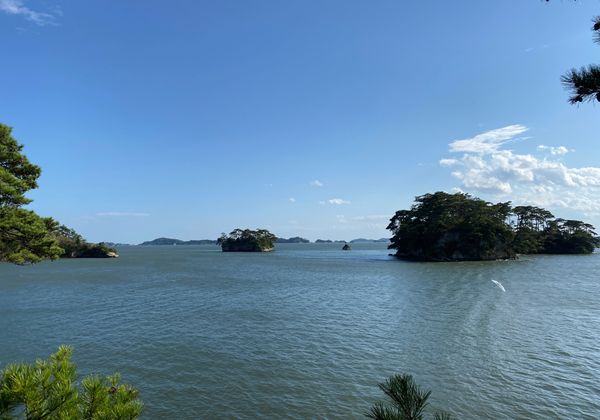 日本・松島「解除記念に初東北の仙台」の写真：初めての東北で実は初の日本三景。
松島が...