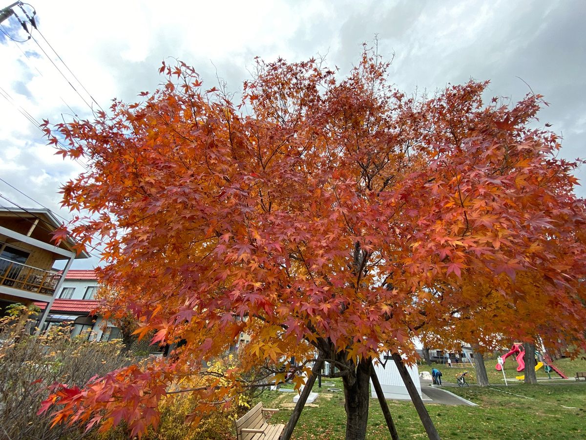 今回も聖地の巡礼を欠かさずに。
初めて曇りだったのが、一瞬だけ陽が差しまし...