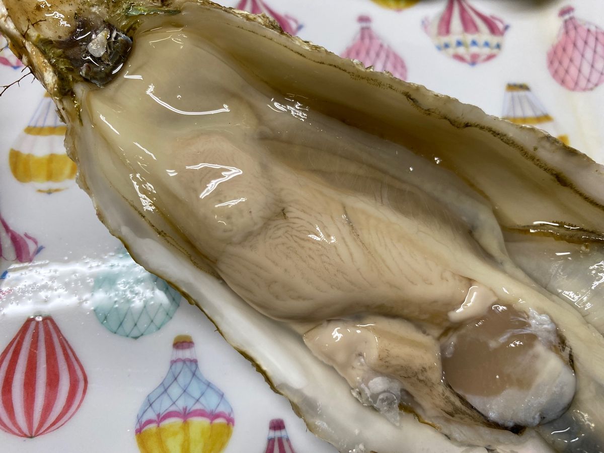 2日目の朝ご飯は二条市場で生牡蠣をモリモリ。
デザートのアサヒメロンの甘さ...