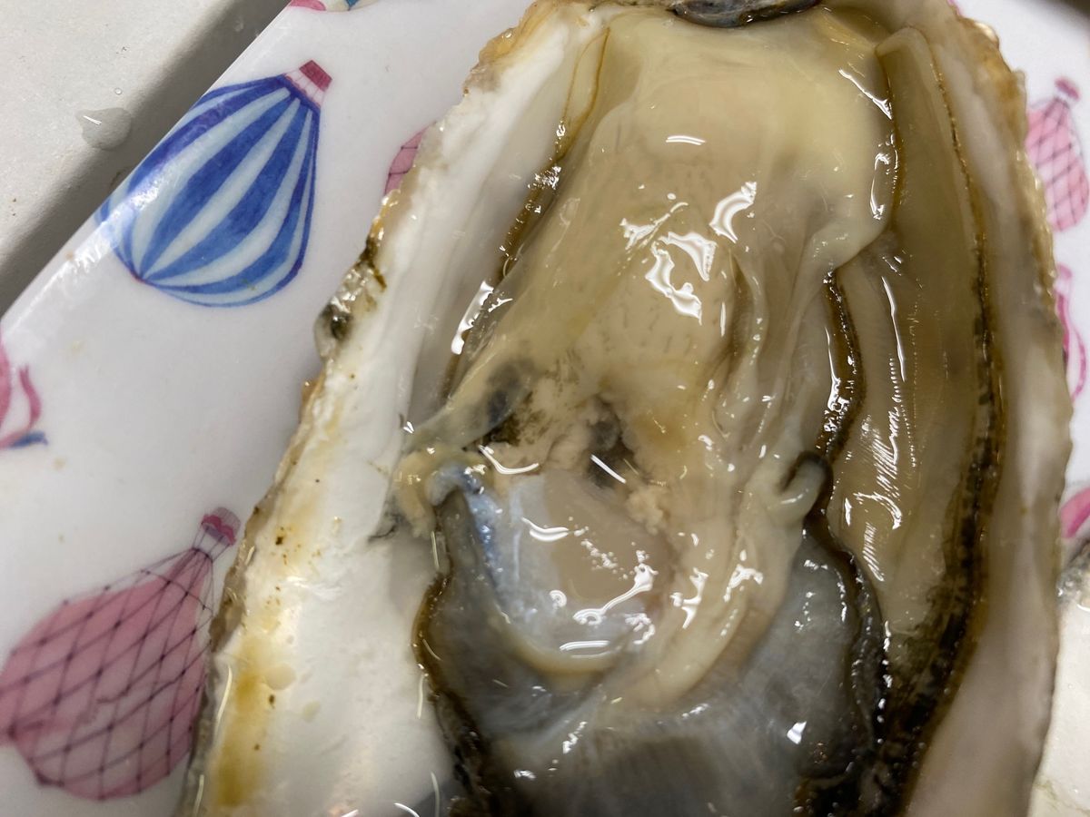 2日目の朝ご飯は二条市場で生牡蠣をモリモリ。
デザートのアサヒメロンの甘さ...