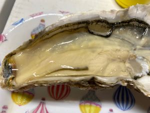 2日目の朝ご飯は二条市場で生牡蠣をモリモリ。
デザートのアサヒメロンの甘さ...