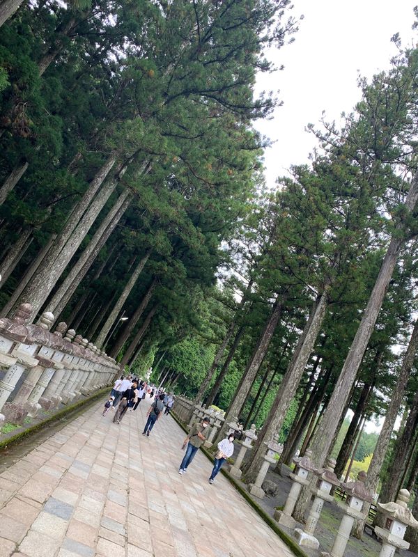 日本・和歌山県「念願、和歌山県串本ダイビングと紀州旅行」の写真