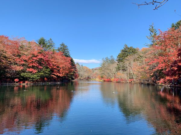 日本・群馬県「オシャキャン」の写真