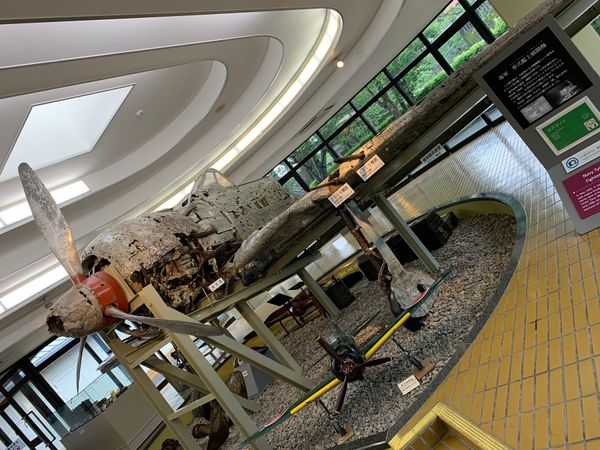 日本・鹿児島県「わさび」の写真