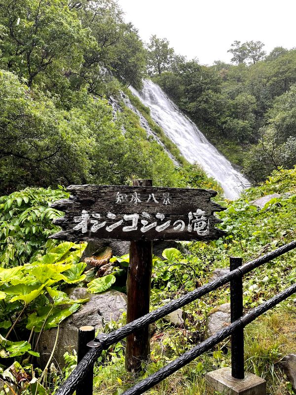 日本・北海道「知床の旅」の写真