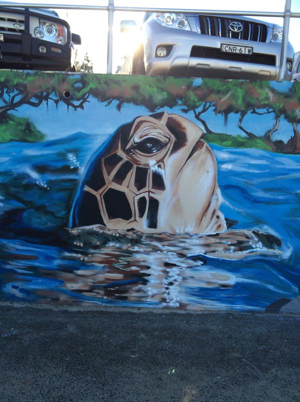 オーストラリア連邦「息子に会いに一人旅」の写真