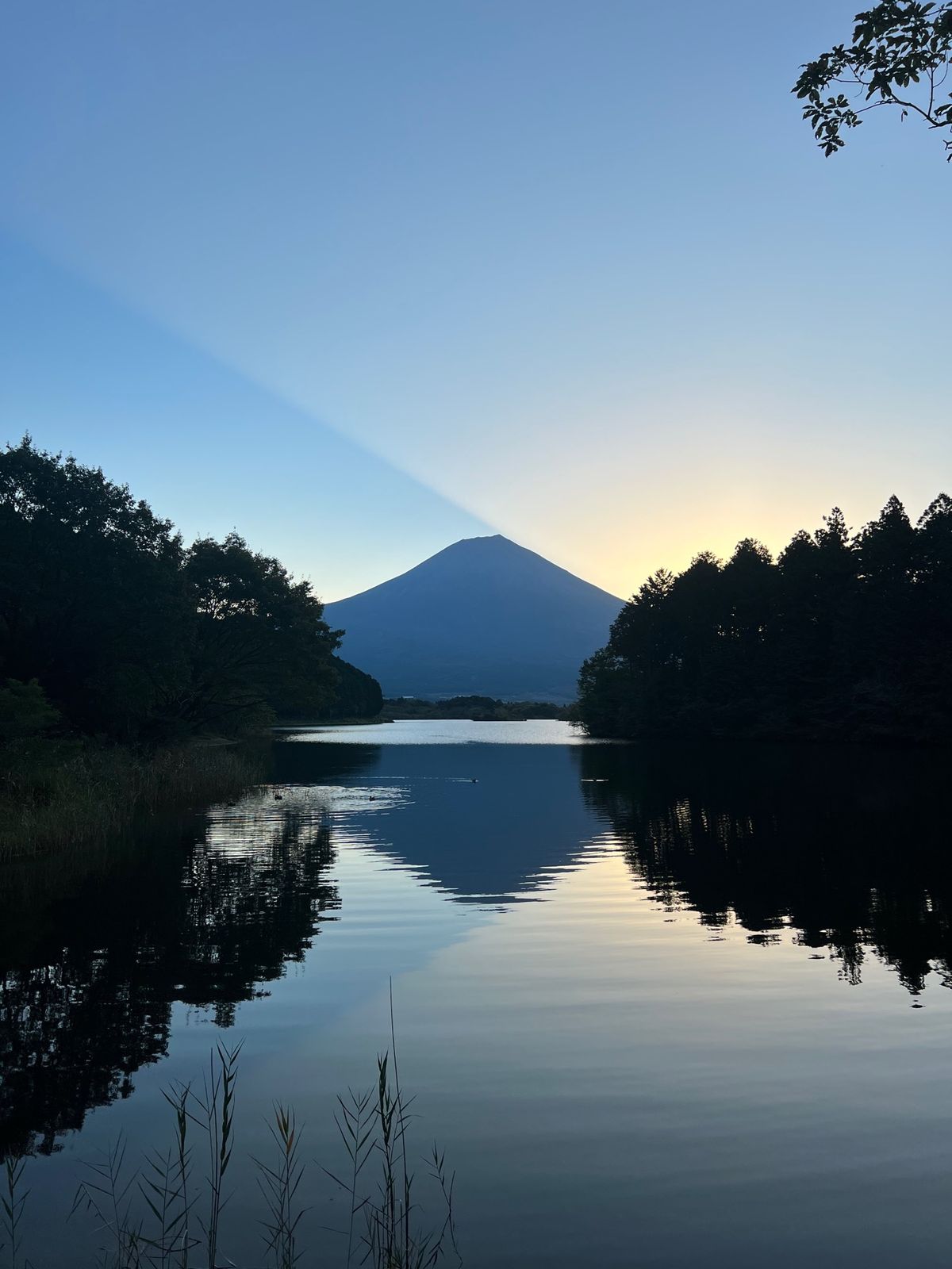 田貫湖に朝日が昇ってきました！
太陽光線が綺麗