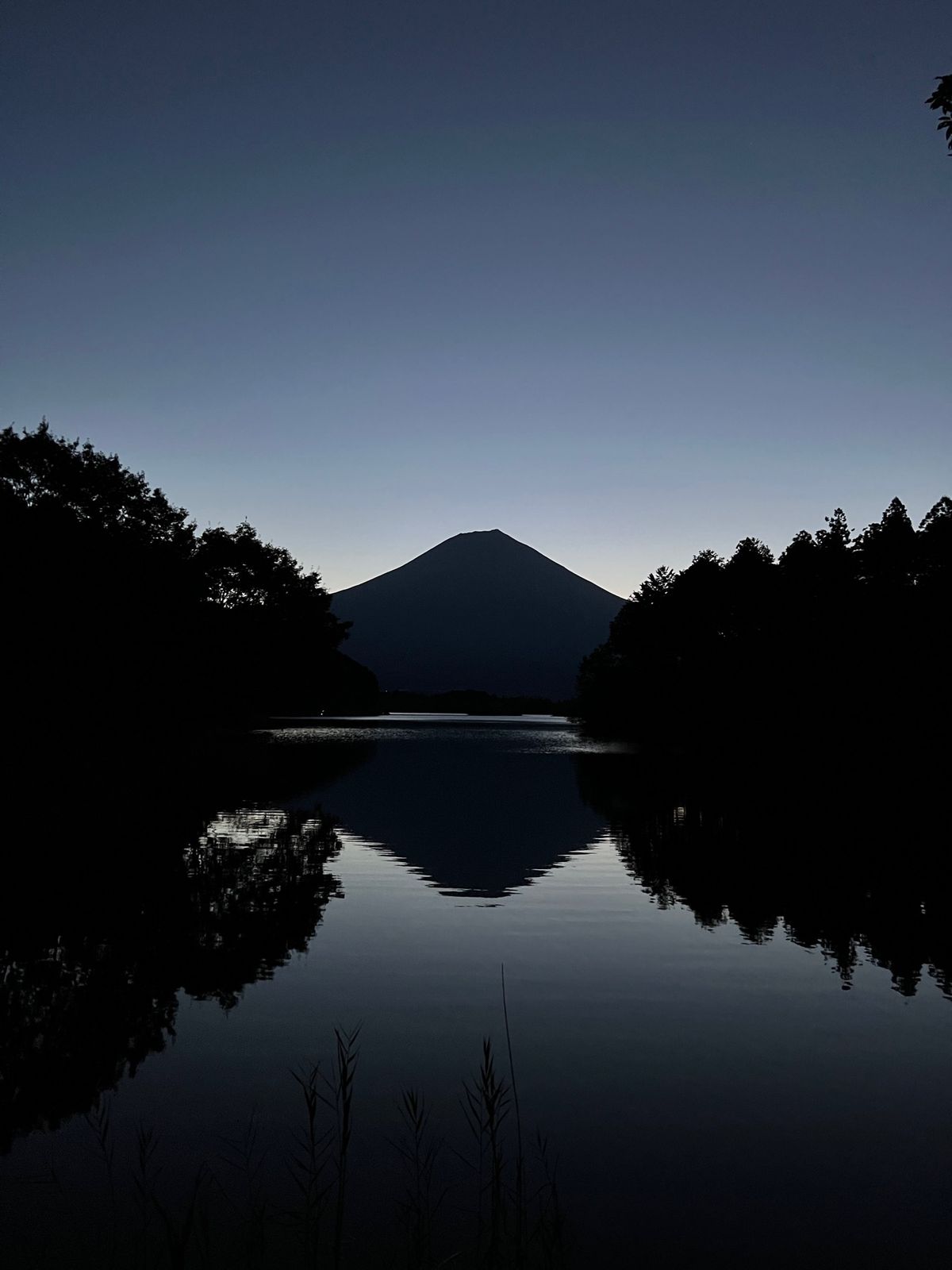雲一つない田貫湖の富士山