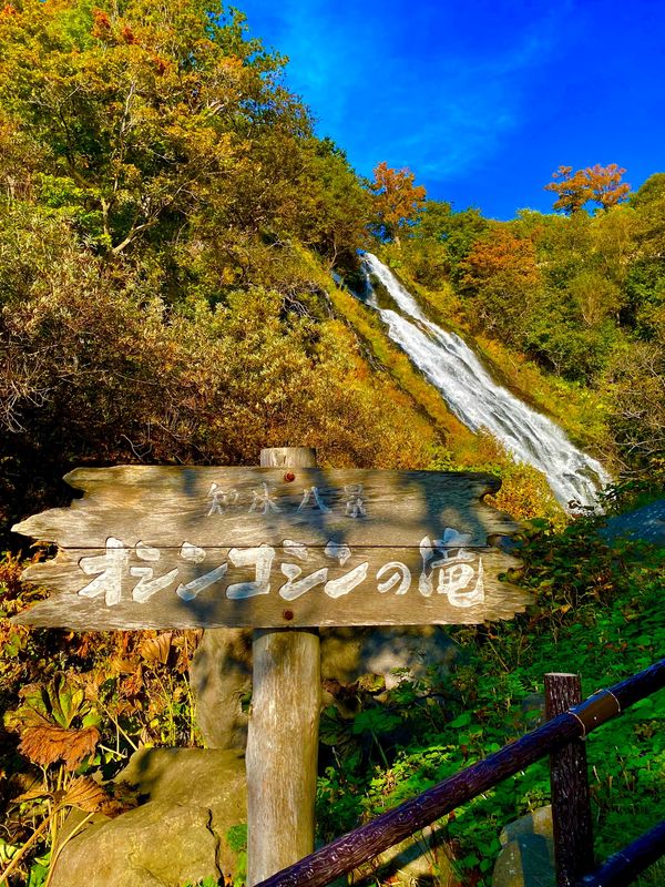 日本・知床「知床の自然を満喫！」の写真：最初にオシンコシンの滝へ行きました。