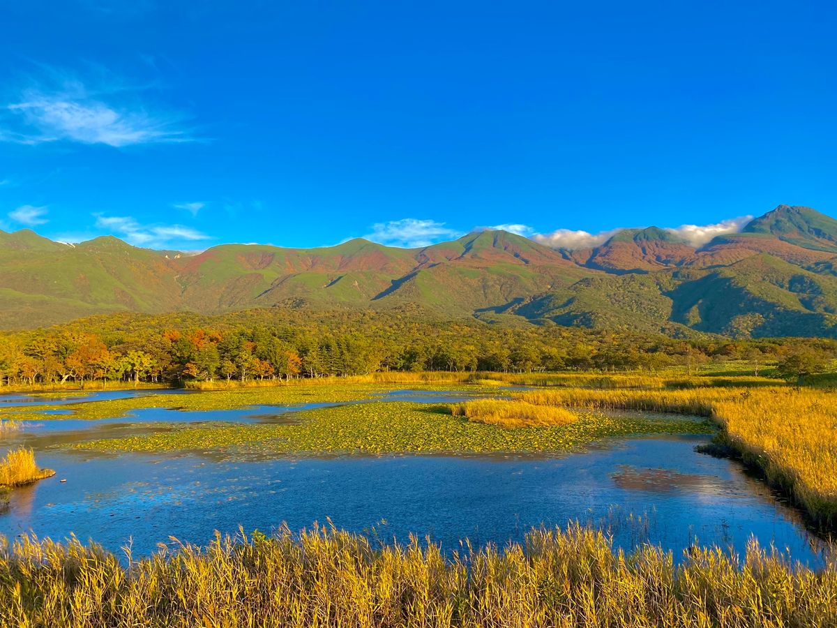最初にオシンコシンの滝へ行きました。