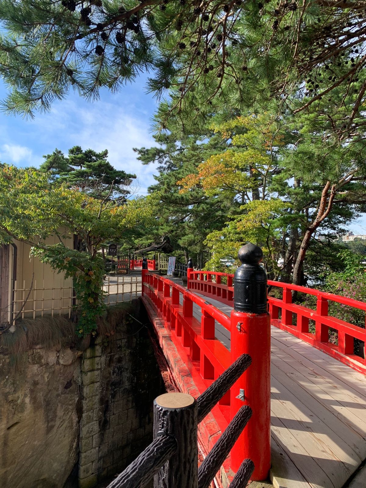 初の東北！
松島に行ってみたくて夜から車で🚗
残念なのは南相馬で寝てしまい...