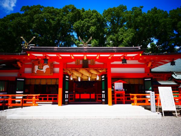 日本・和歌山県「和歌山 旅行」の写真