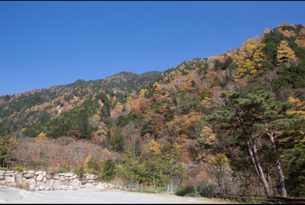 長野県安曇野市
●燕岳登山口
●登山口まで歩く途中の紅葉
●山の中で、上を...