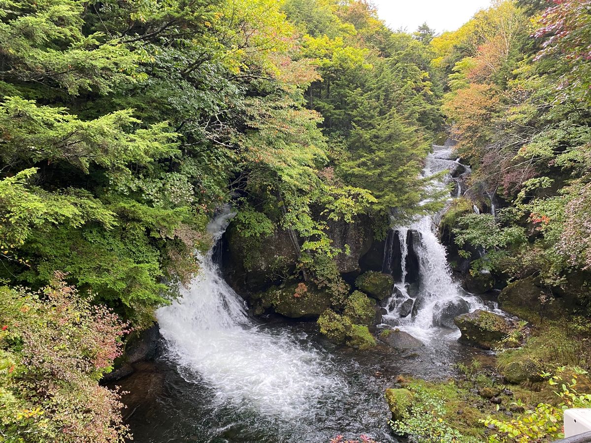 竜頭の滝！

と、そこで食べたゆばソフト！
めっちゃ寒かったけど、美味しかった！