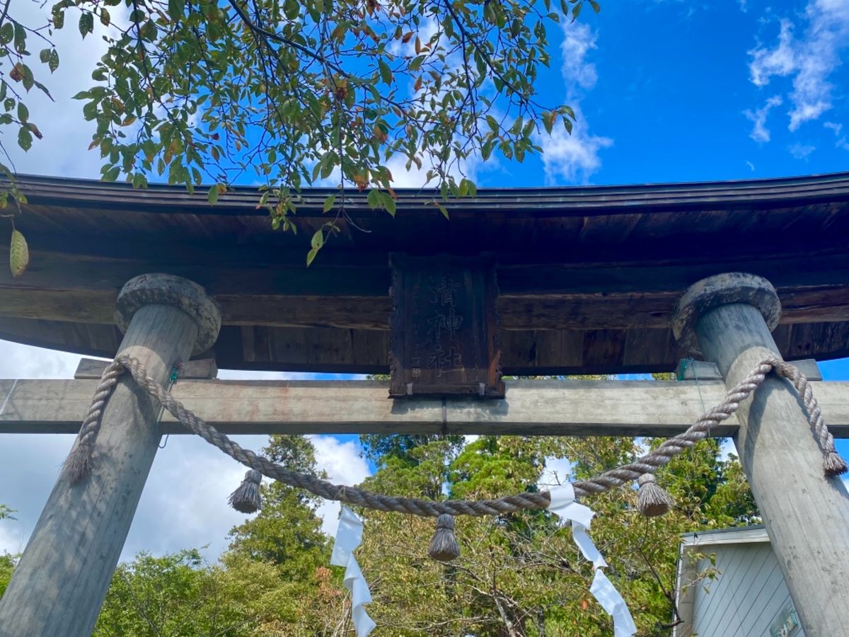 清（すが）神社⛩

サンフレッチェ広島が必勝祈願にくる神社らしい