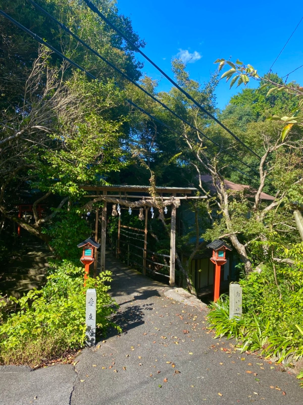 鷺神社⛩

少し山（？）を登ったところにあるので
景色が良い！