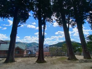 清（すが）神社⛩

御神木の存在感がすごい！！
樹齢800年を超えているらしい😳