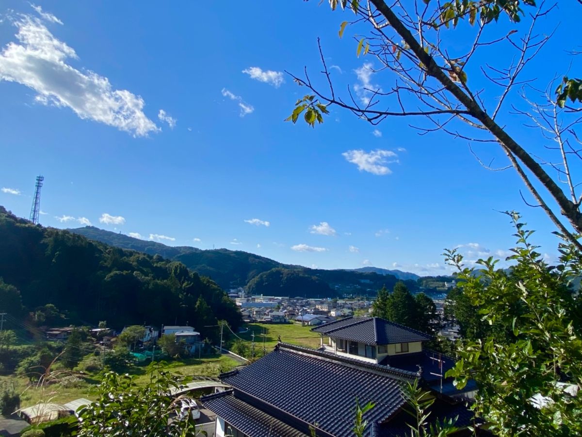鷺神社⛩

少し山（？）を登ったところにあるので
景色が良い！