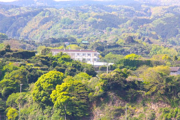 日本・静岡県「静岡旅行（聖地巡礼）」の写真