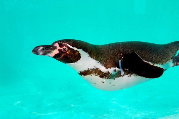 日本・静岡県「静岡旅行（聖地巡礼）」の写真
