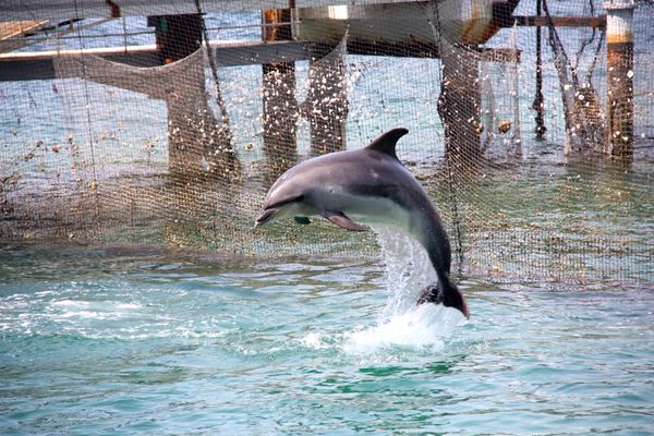 日本・静岡県「静岡旅行（聖地巡礼）」の写真