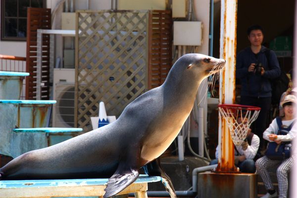 日本・静岡県「静岡旅行（聖地巡礼）」の写真