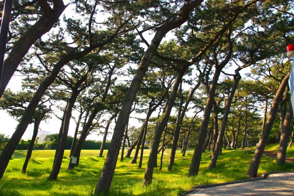 日本・静岡県「静岡旅行（聖地巡礼）」の写真