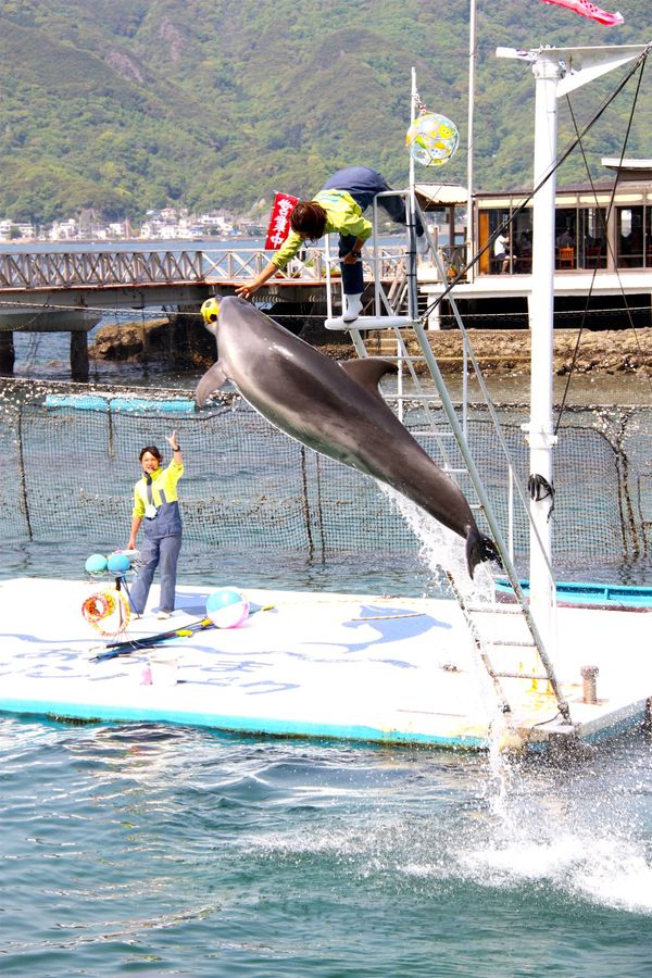 日本・静岡県「静岡旅行（聖地巡礼）」の写真