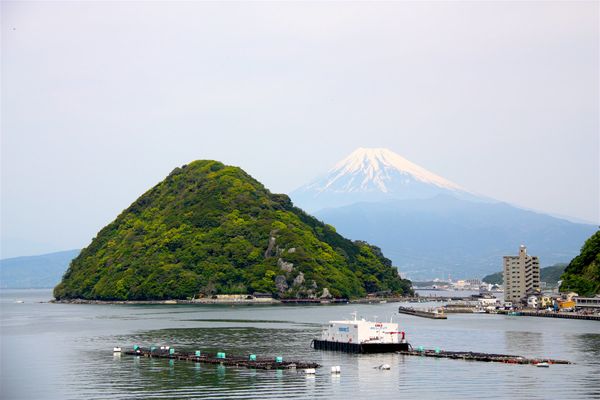 日本・静岡県「静岡旅行（聖地巡礼）」の写真
