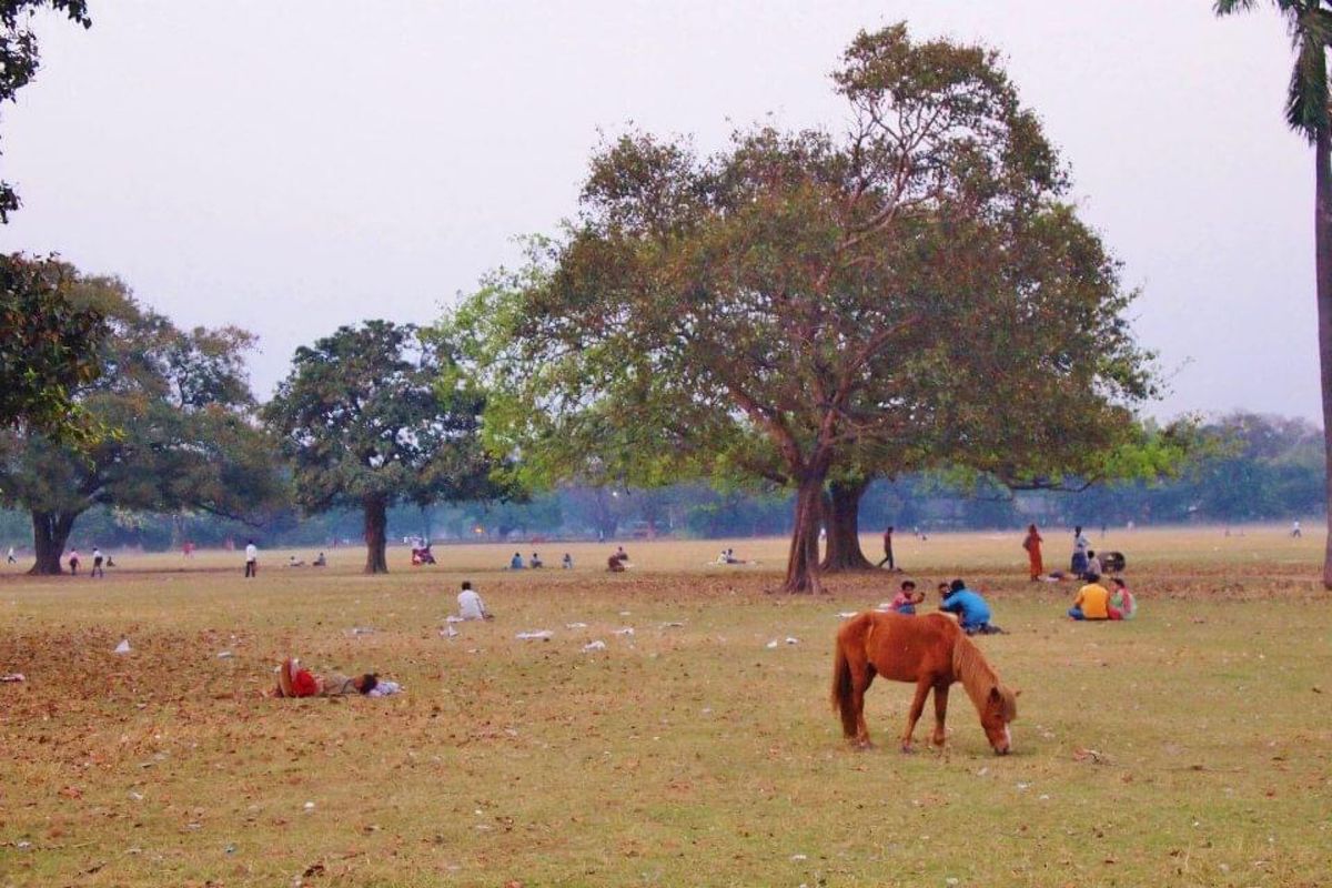 インドのコルカタ。
町歩きが楽しかった。プラネタリウム見たり公園でゆっくり...