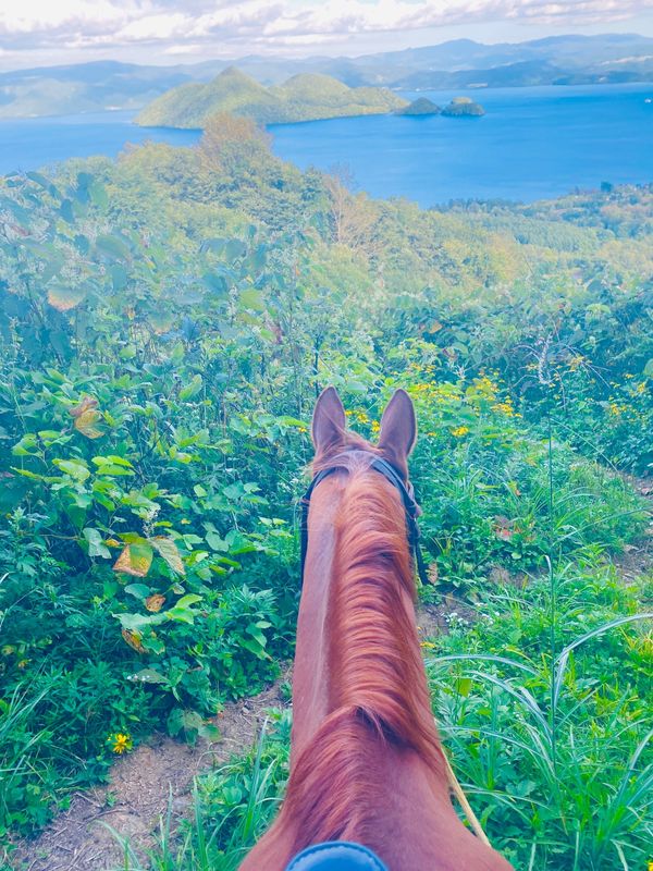 日本・北海道「北海道　洞爺湖ウィンザーホテル」の写真：馬に乗ってのトレッキング、洞爺湖の中島で...