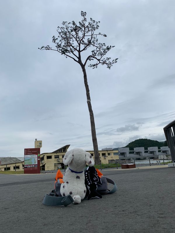 日本・岩手県「東北　週末旅行」の写真