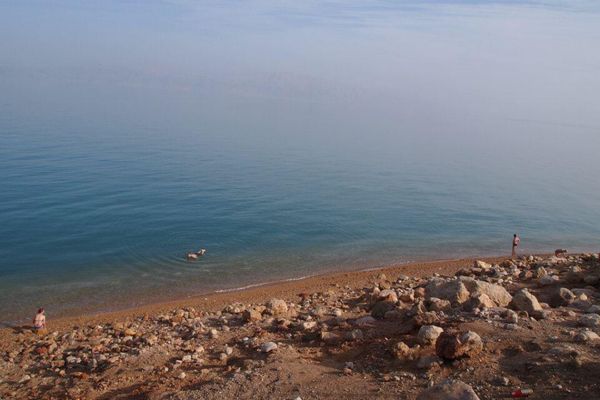 イスラエル・Jerusalem「７ヶ月２８ヶ国世界一周（イスラエル）」の写真：定番の死海。
塩分濃度高すぎて数分しか水...