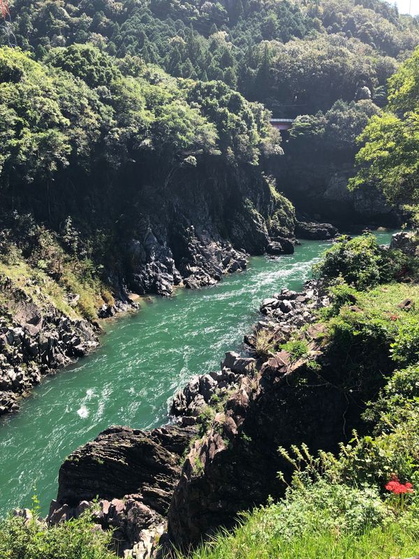 「旅」の写真：岐阜への旅