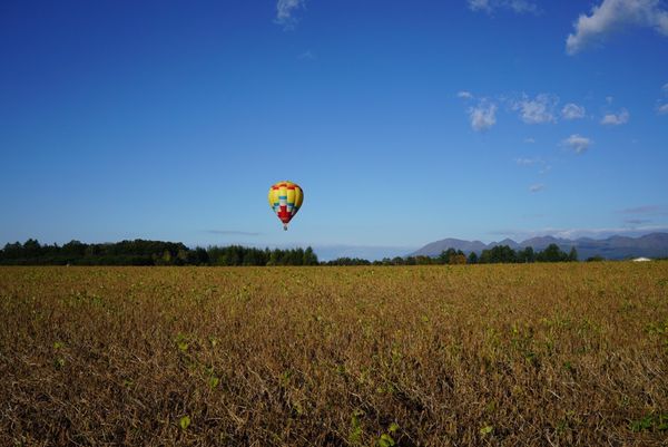 日本・北海道「北海道」の写真