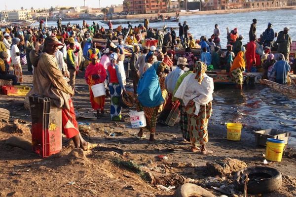 セネガル・Dakar「７ヶ月２８ヶ国世界一周（セネガル）」の写真：セネガル北部、サンルイの港