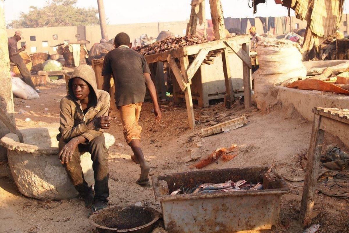 サンルイの漁港を見学