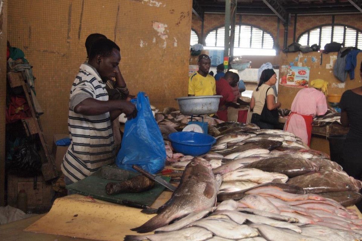 ダカールの魚市場