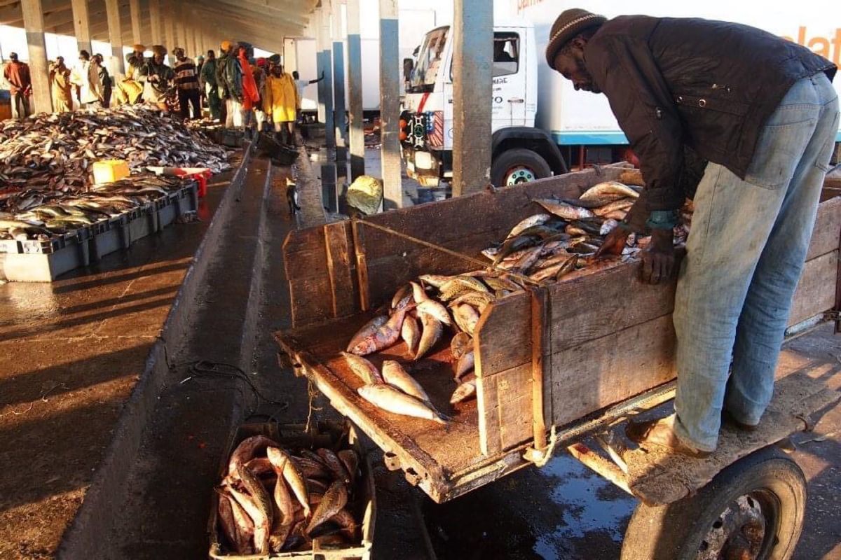 サンルイの漁港を見学