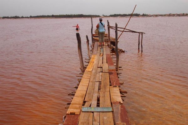 セネガル・Dakar「７ヶ月２８ヶ国世界一周（セネガル）」の写真：セネガルといえば ラックローズ
天気が良...