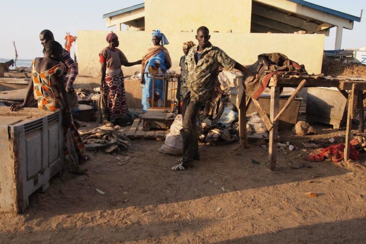 サンルイの漁港を見学