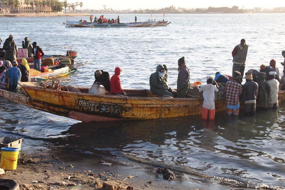 セネガル北部、サンルイの港