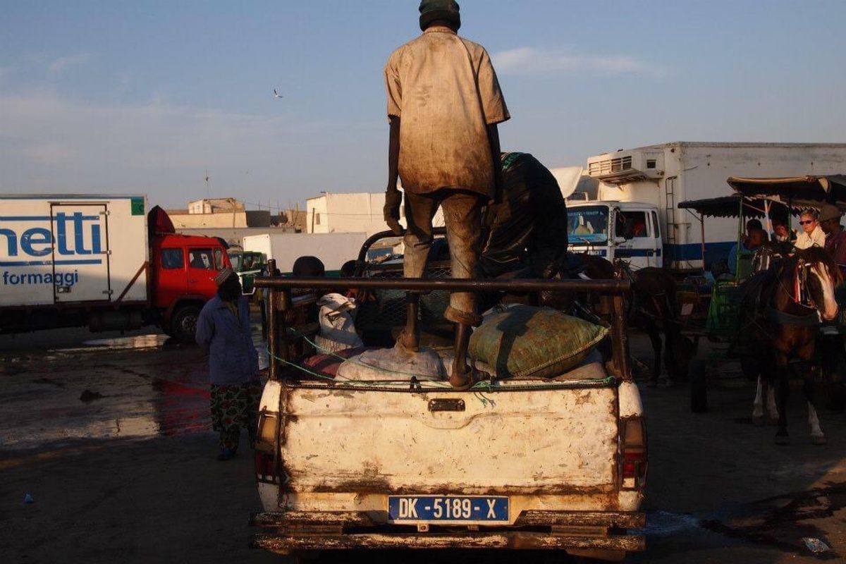 サンルイの漁港を見学