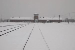 ビルケナウ。
アウシュビッツが有名ですが こっちも訪れるべきです