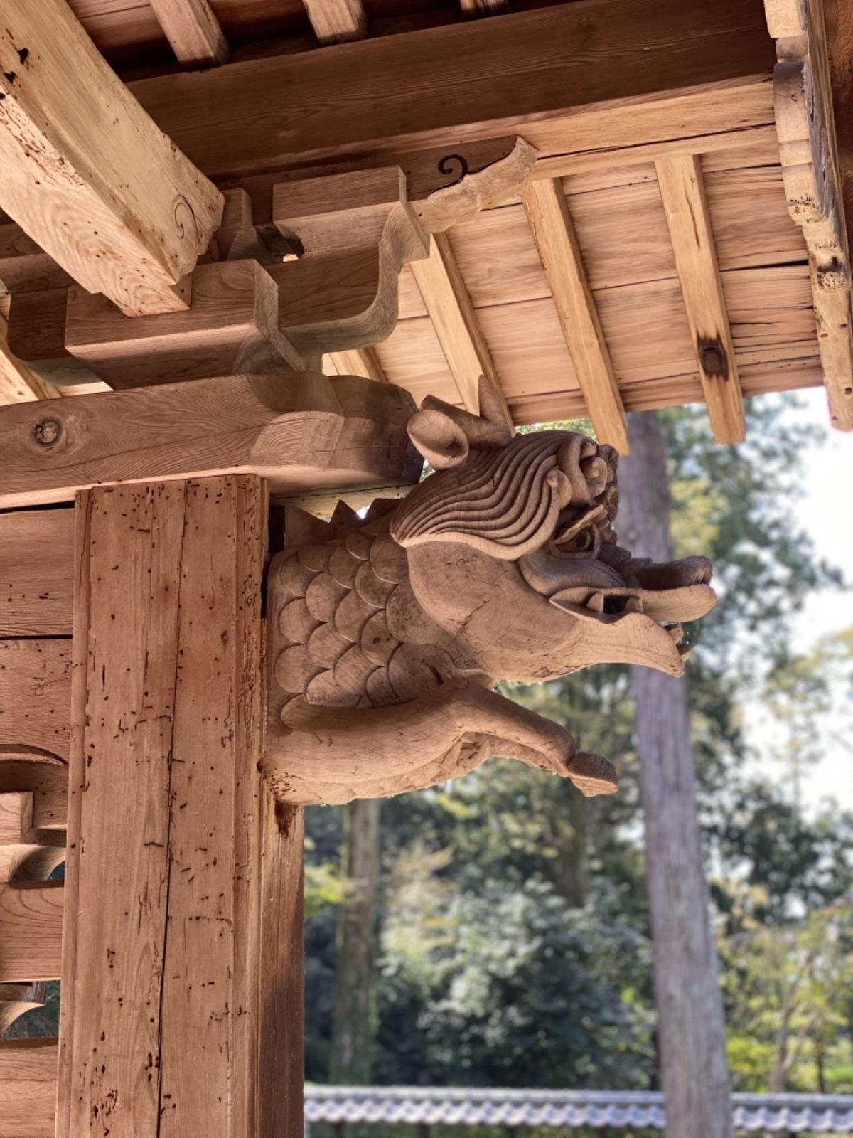 瀧谷寺（たきだんじ）

瀧谷寺では3種類の御朱印がいただけます🙌
本堂内に...