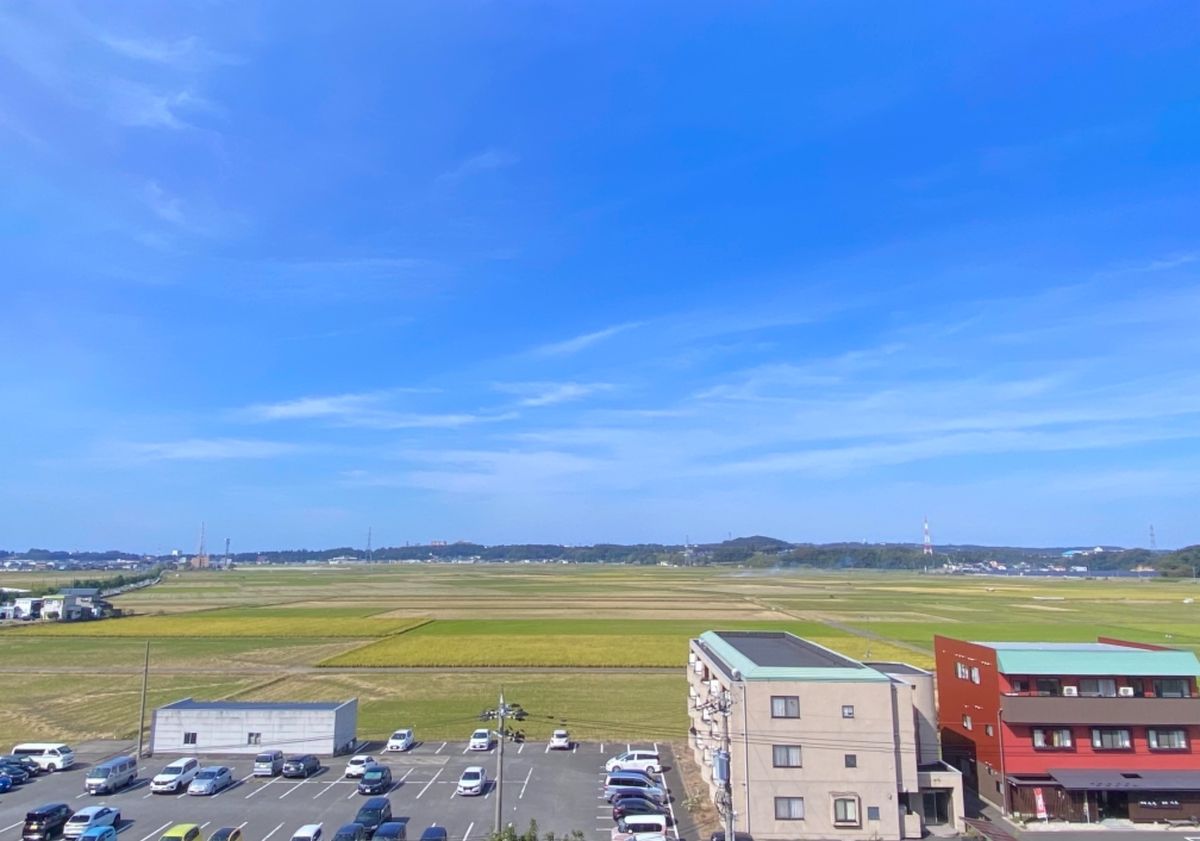 まつや千千

夜は暗くてよく見えなかったんだけど
朝起きたら思った以上に田...