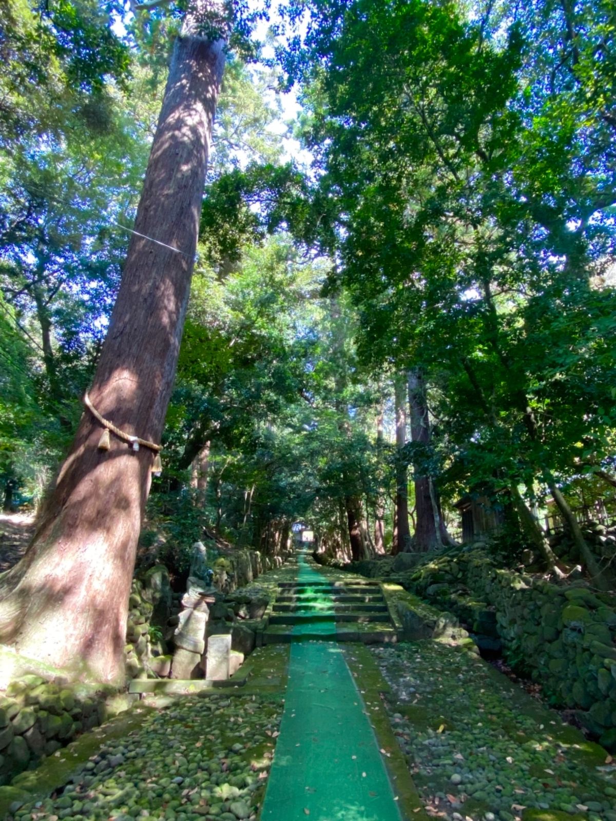瀧谷寺（たきだんじ）

少し時間があったので
朝に御朱印を貰いに行ってきま...