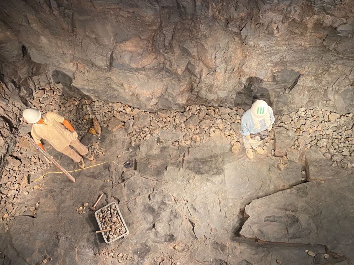 福井県立恐竜博物館

化石発掘風景

私も化石発掘体験してみたい〜